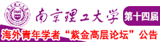 啊啊啊啊逼南京理工大学第十四届海外青年学者紫金论坛诚邀海内外英才！